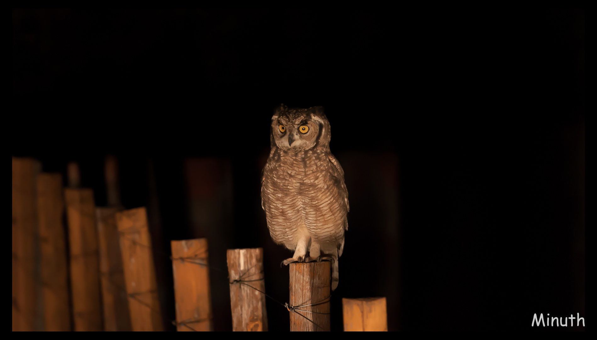 Eines Abends in Namibia