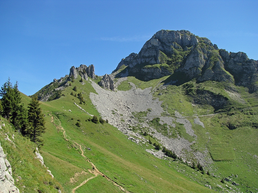 Eines der Hörner