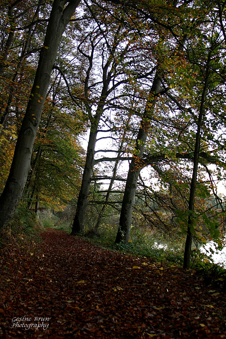 Eines der letzten Herbsttage