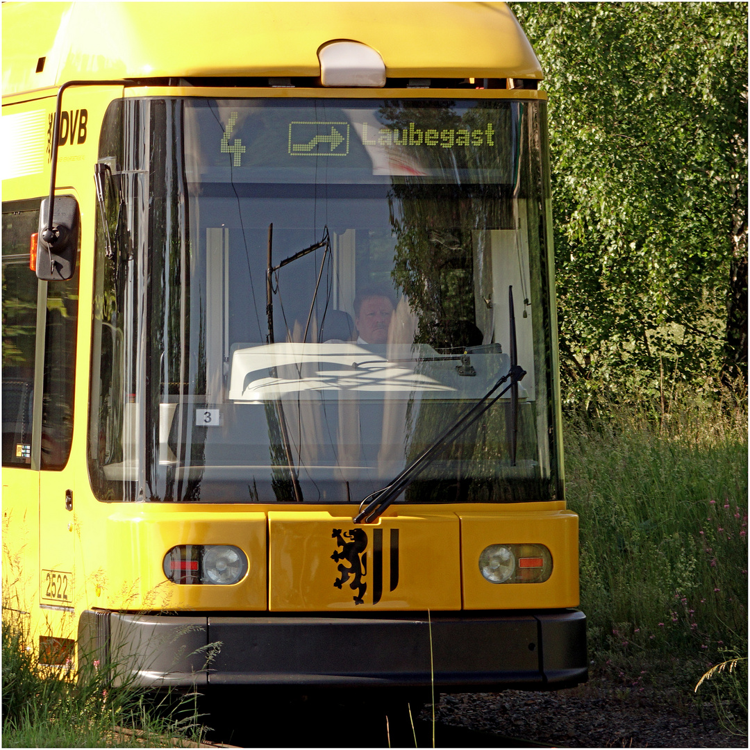 ... eines der modernen Elektro-Taxi's im Großraum Dresden...