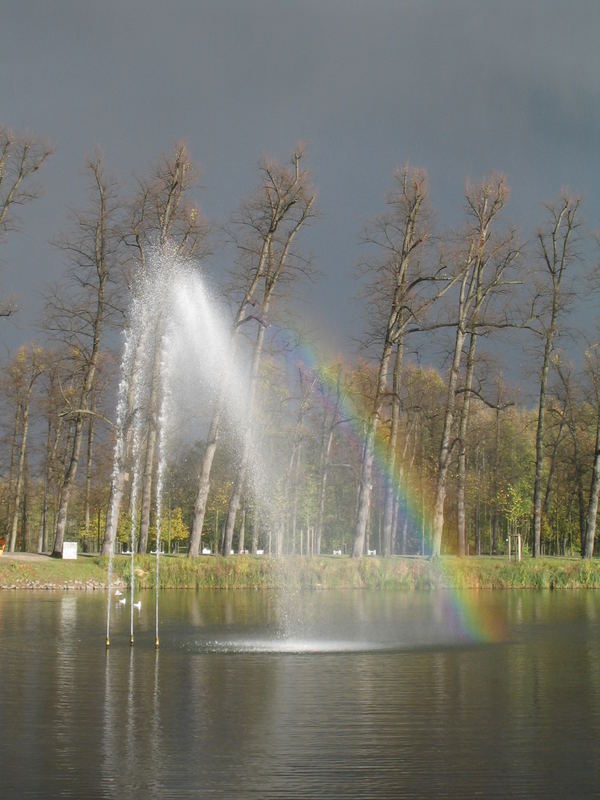 eines meiner leiblingspics (see bei mg)