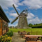 Eines meiner Lieblingsmotive - die Erdholländerwindmühle in Steinhagen bei Stralsund... 