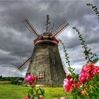 Eines meiner Lieblingsmotive: die Steinhäger Erdholländerwindmühle