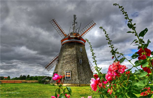 Eines meiner Lieblingsmotive: die Steinhäger Erdholländerwindmühle