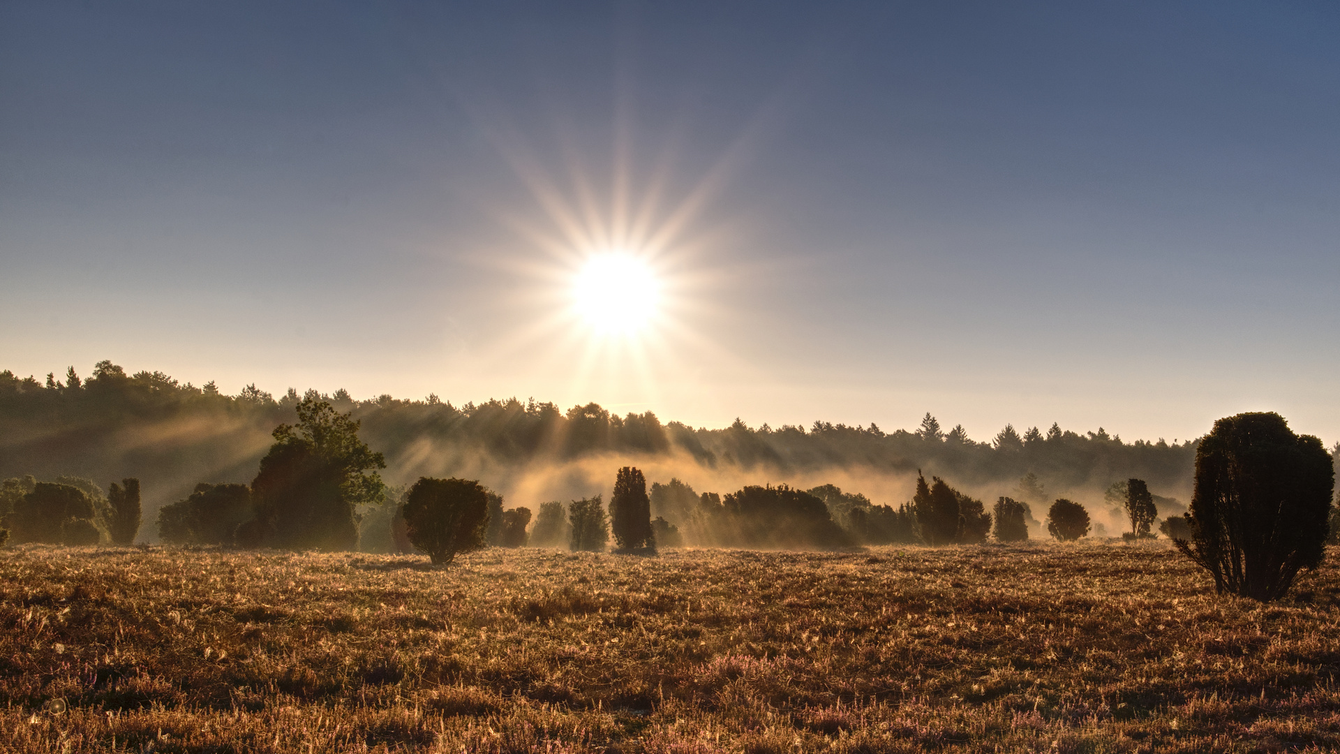 eines Morgens am Heiligen Hain (6)