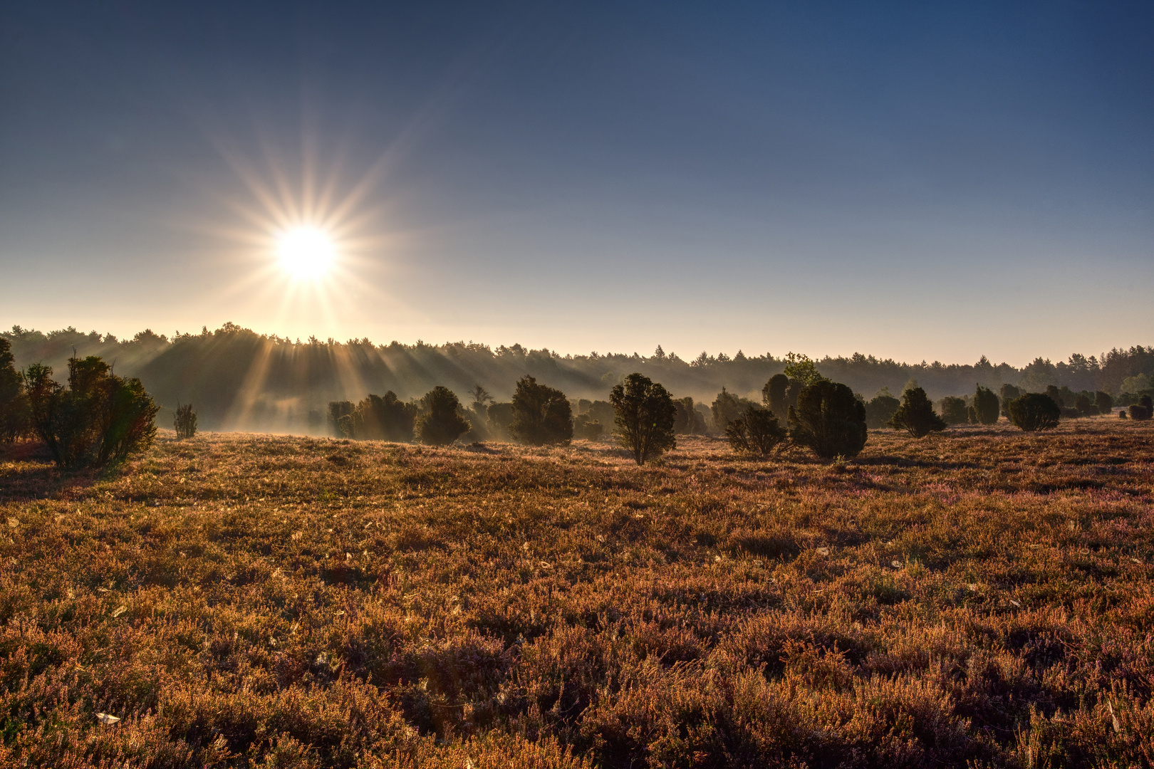 eines Morgens am Heiligen Hain (7)