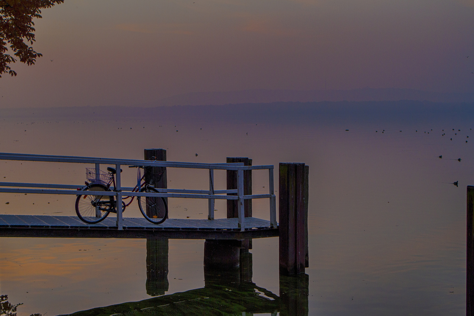 Eines Morgens am Müggelsee