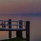 Eines Morgens am Müggelsee