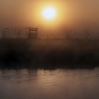 eines Morgens an der Donau