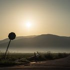 Eines Morgens auf dem Lande