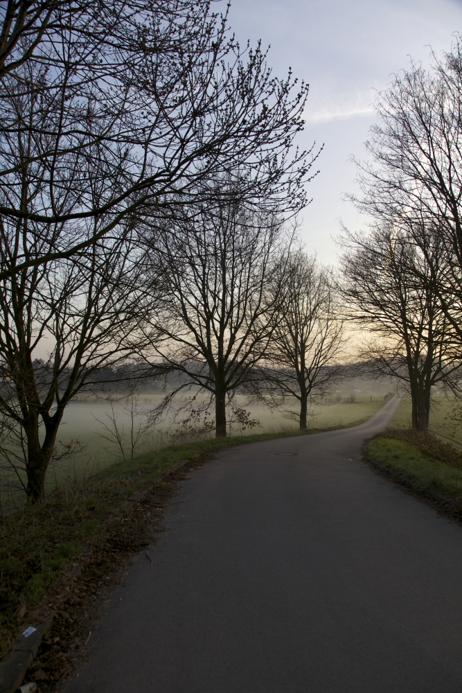 eines morgens auf dem Weg zur Arbeit (2)