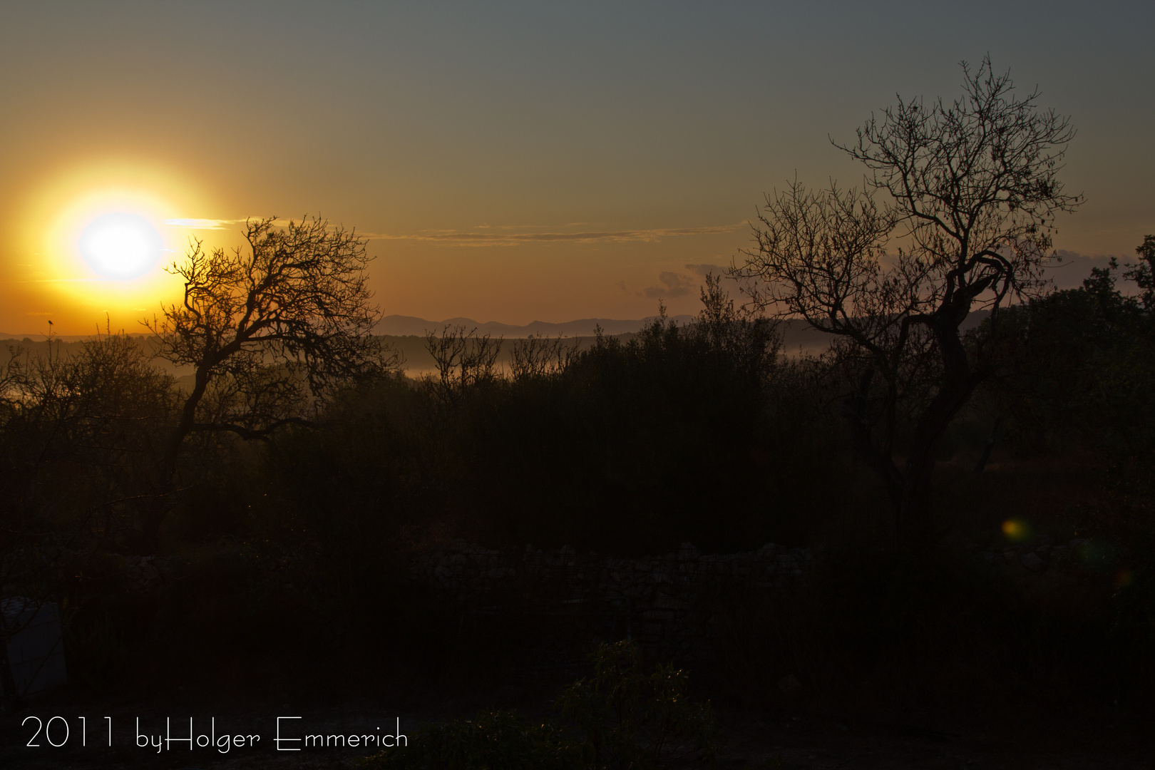 Eines Morgens auf Mallorca 1