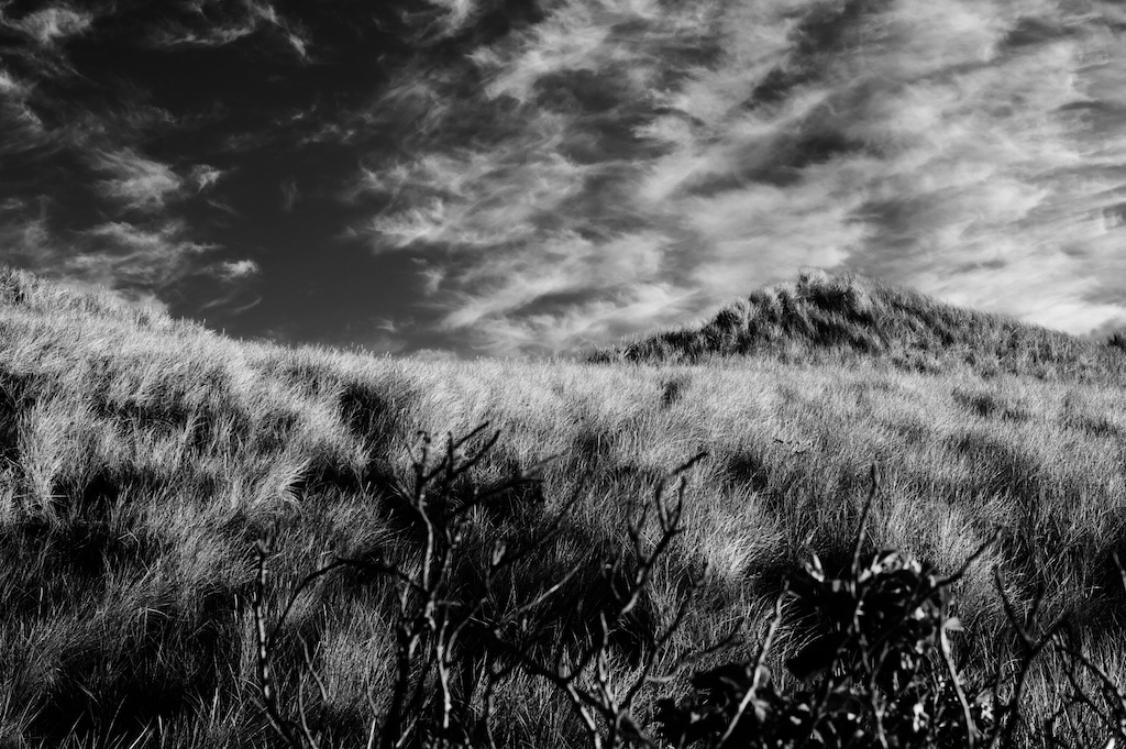 eines morgens auf sylt