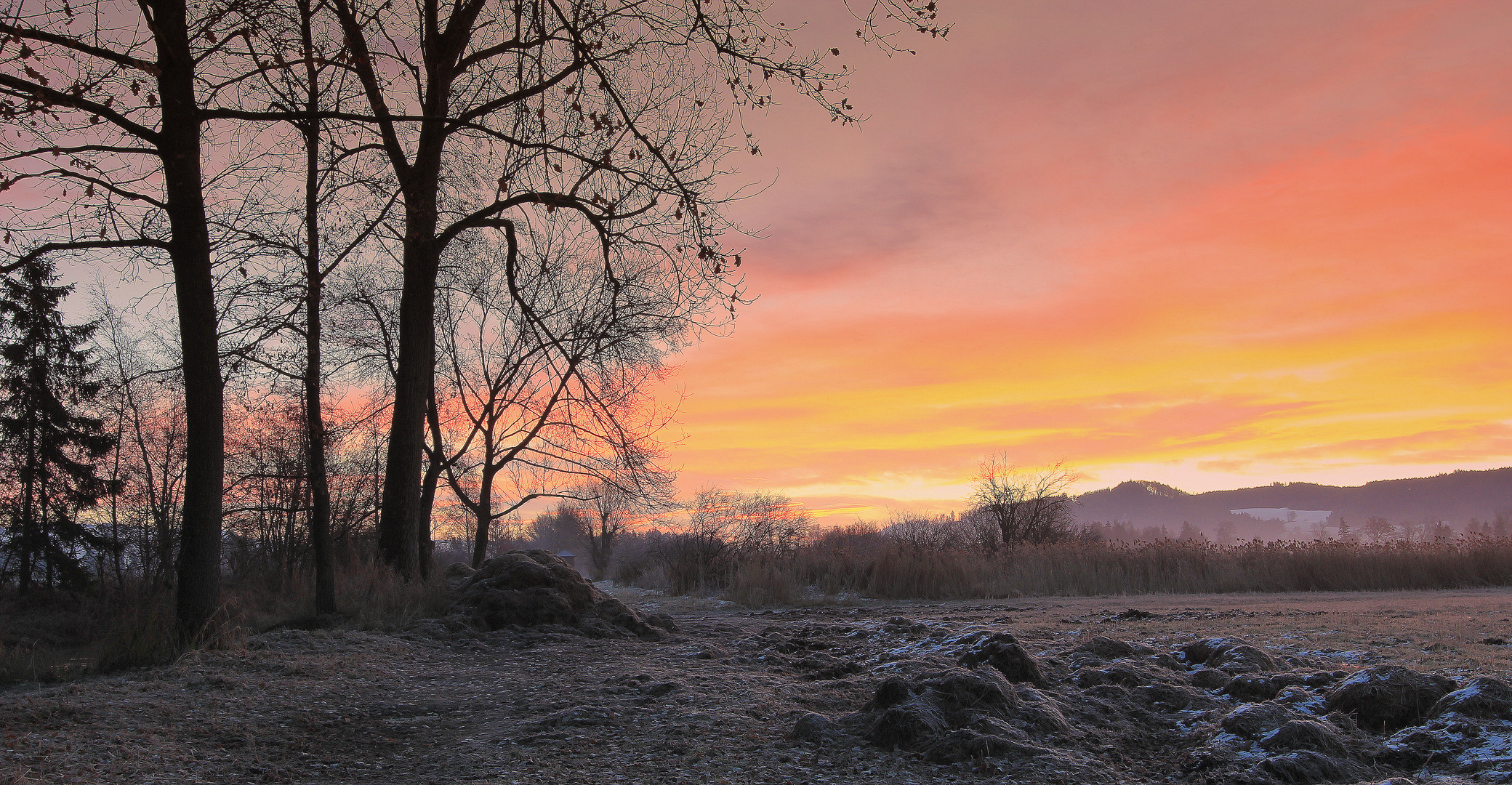 Eines morgens im Moor