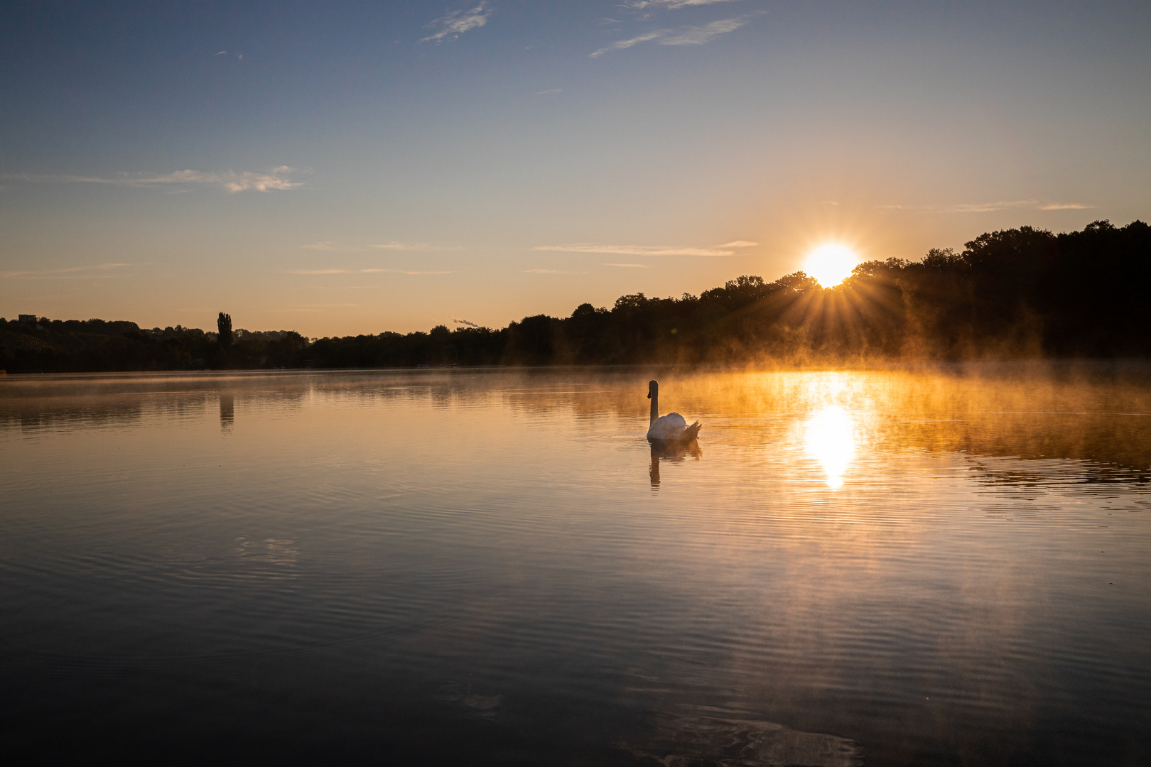 Eines Morgens im Sommer