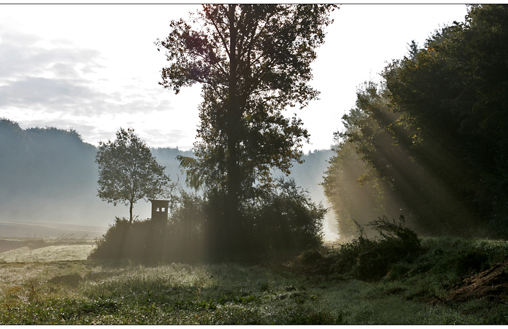 eines schönen morgens....