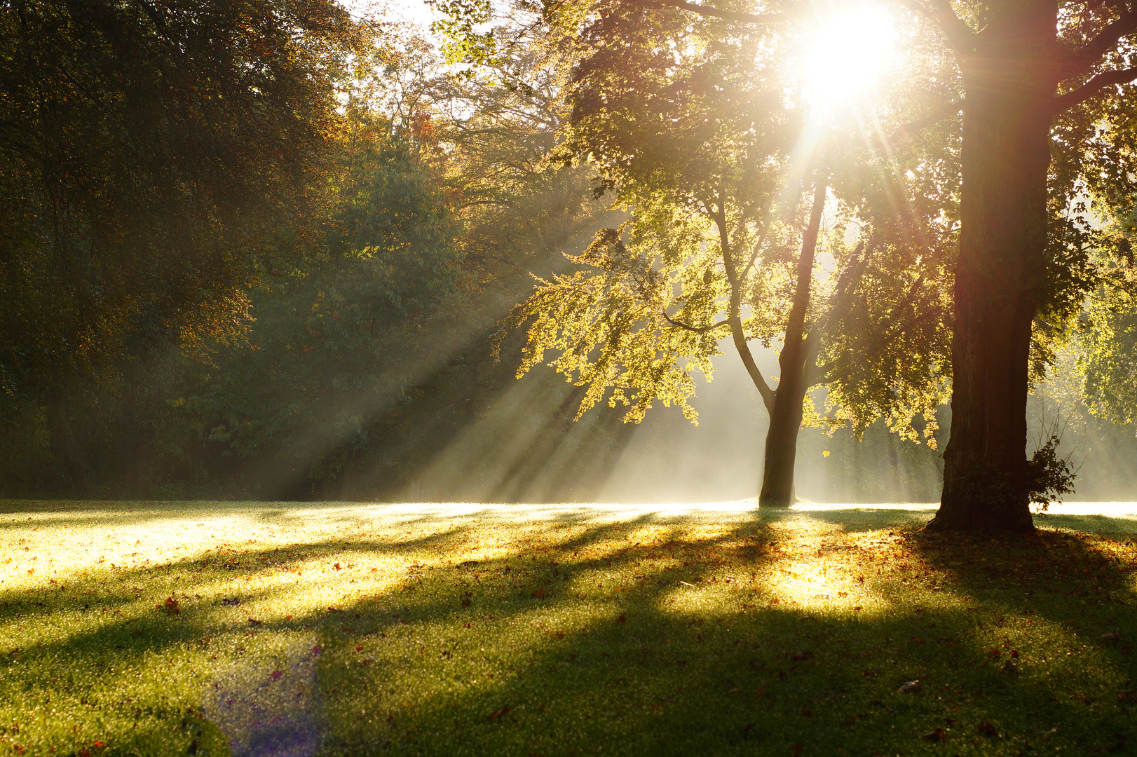 Eines schönen Morgens im Bürgerpark 1