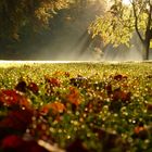 Eines schönen Morgens im Bürgerpark 2