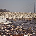 eines tages in düsseldorf