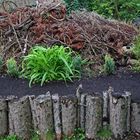 Eines von vielen Biotopen für die verschiedensten Tiere, was uns besonders wichtig ist!