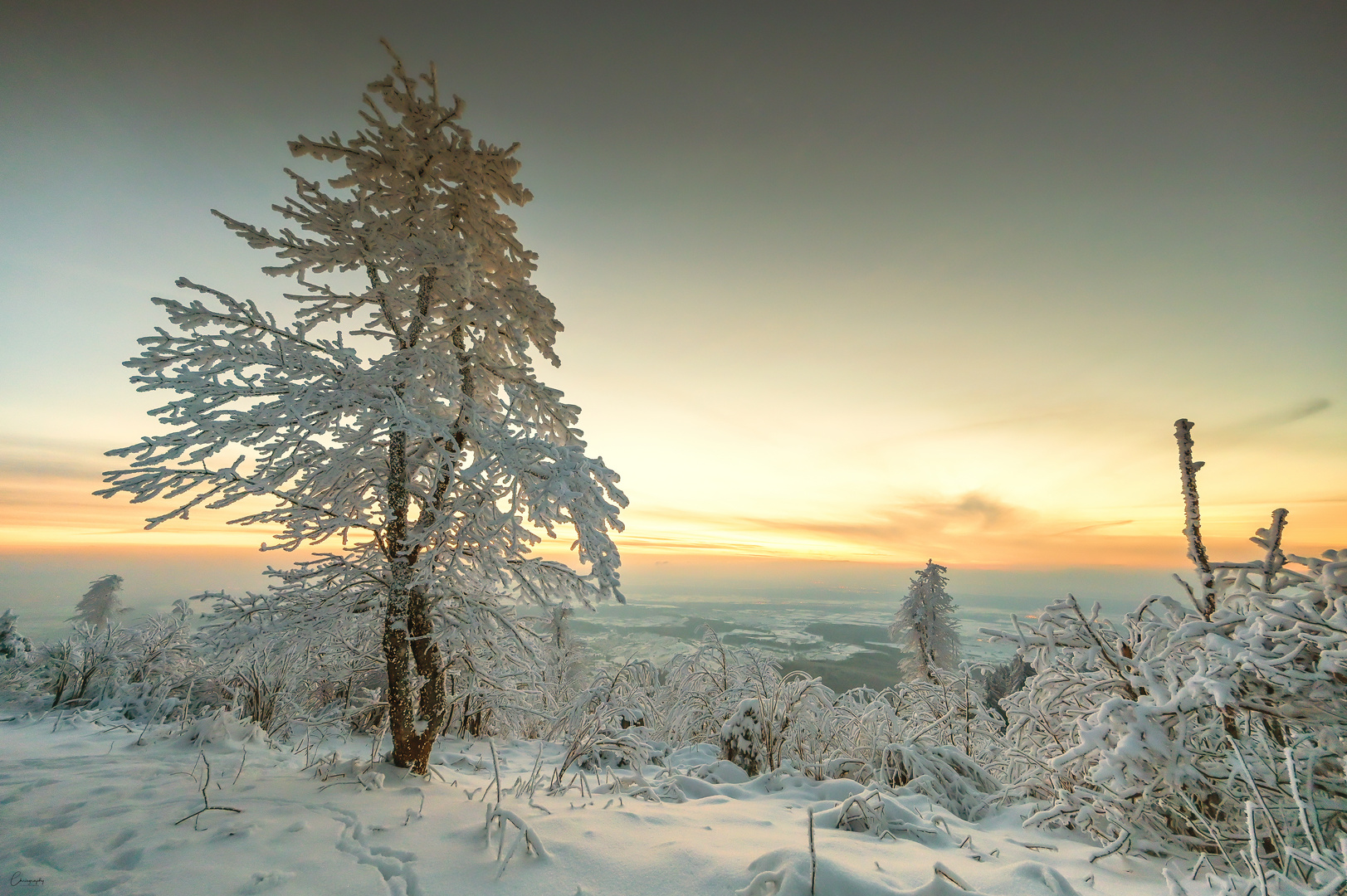 Eines Winters auf dem Hochblauen