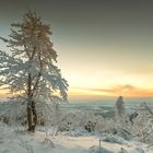 Eines Winters auf dem Hochblauen