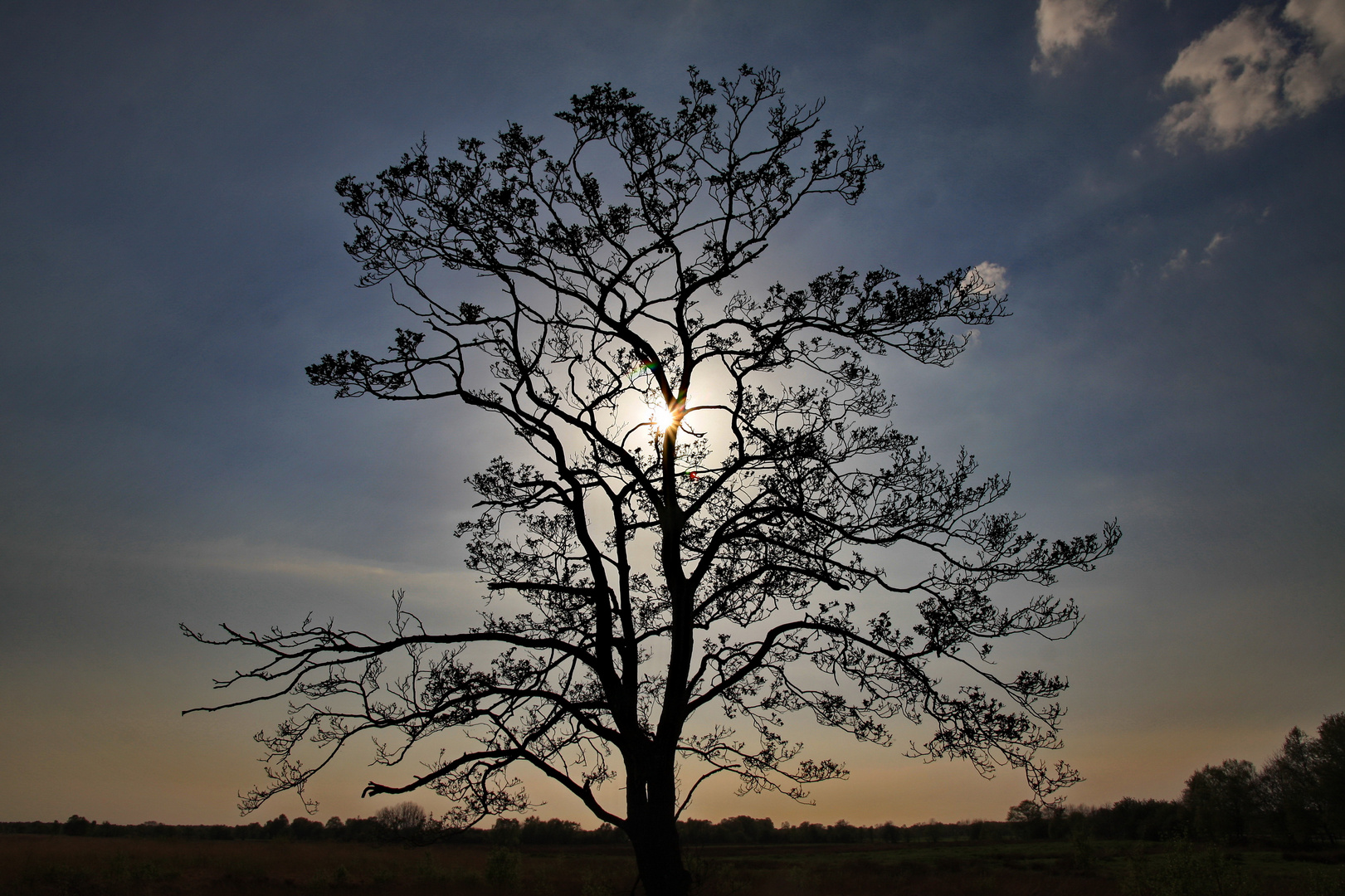 einfach Baum