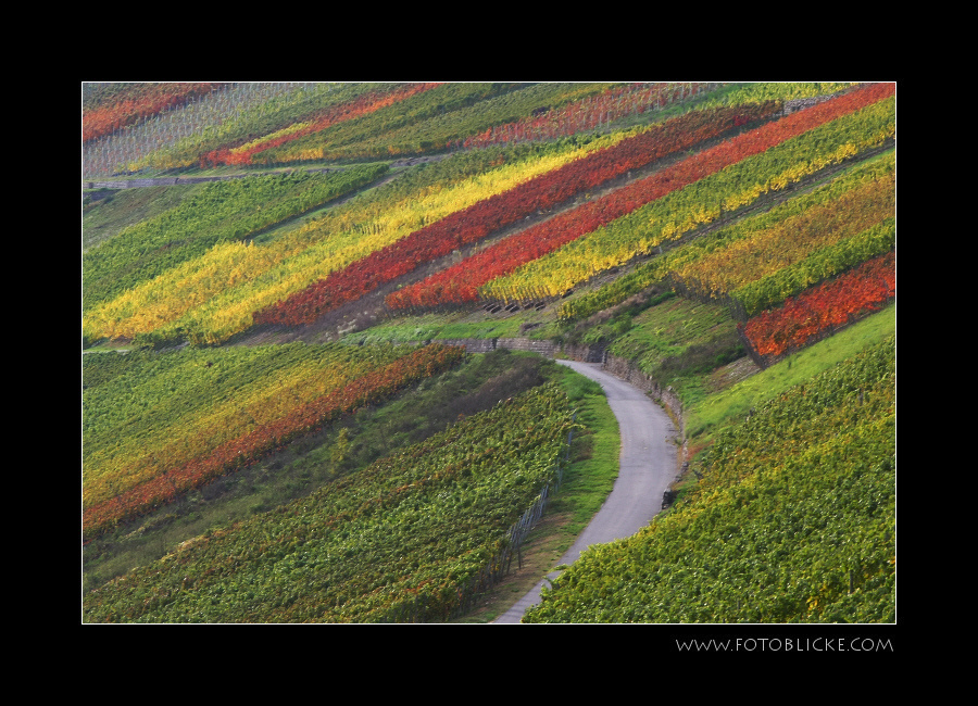 Einfach Bunt