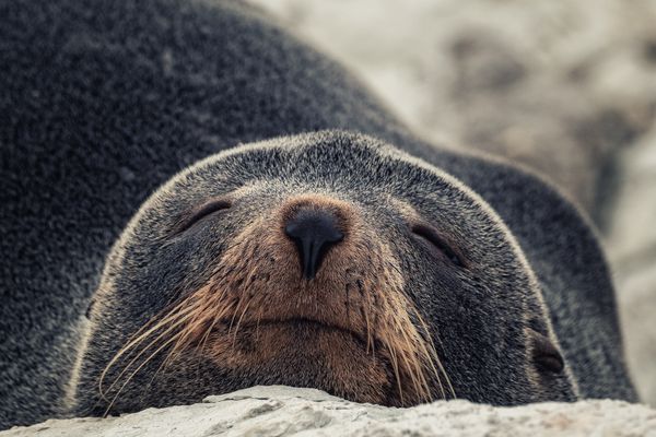 ... einfach chillen ...