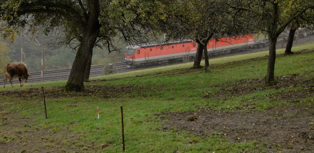 Einfach dagegen halten [Südbahn-Exkursion 2015]