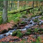 Einfach dasein und Glück atmen