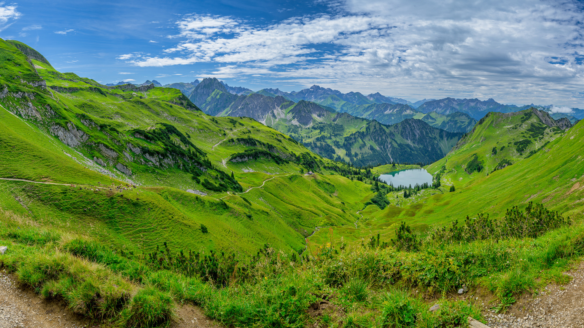 Einfach den Blick schweifen lassen