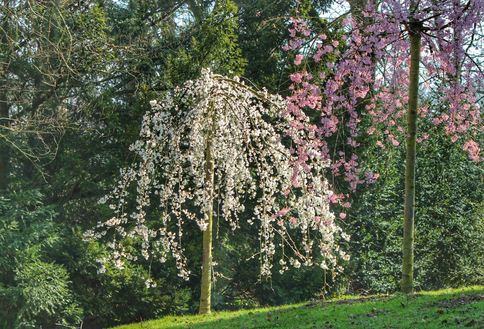 Einfach den Frühling genießen..