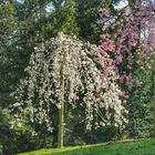 Einfach den Frühling genießen..