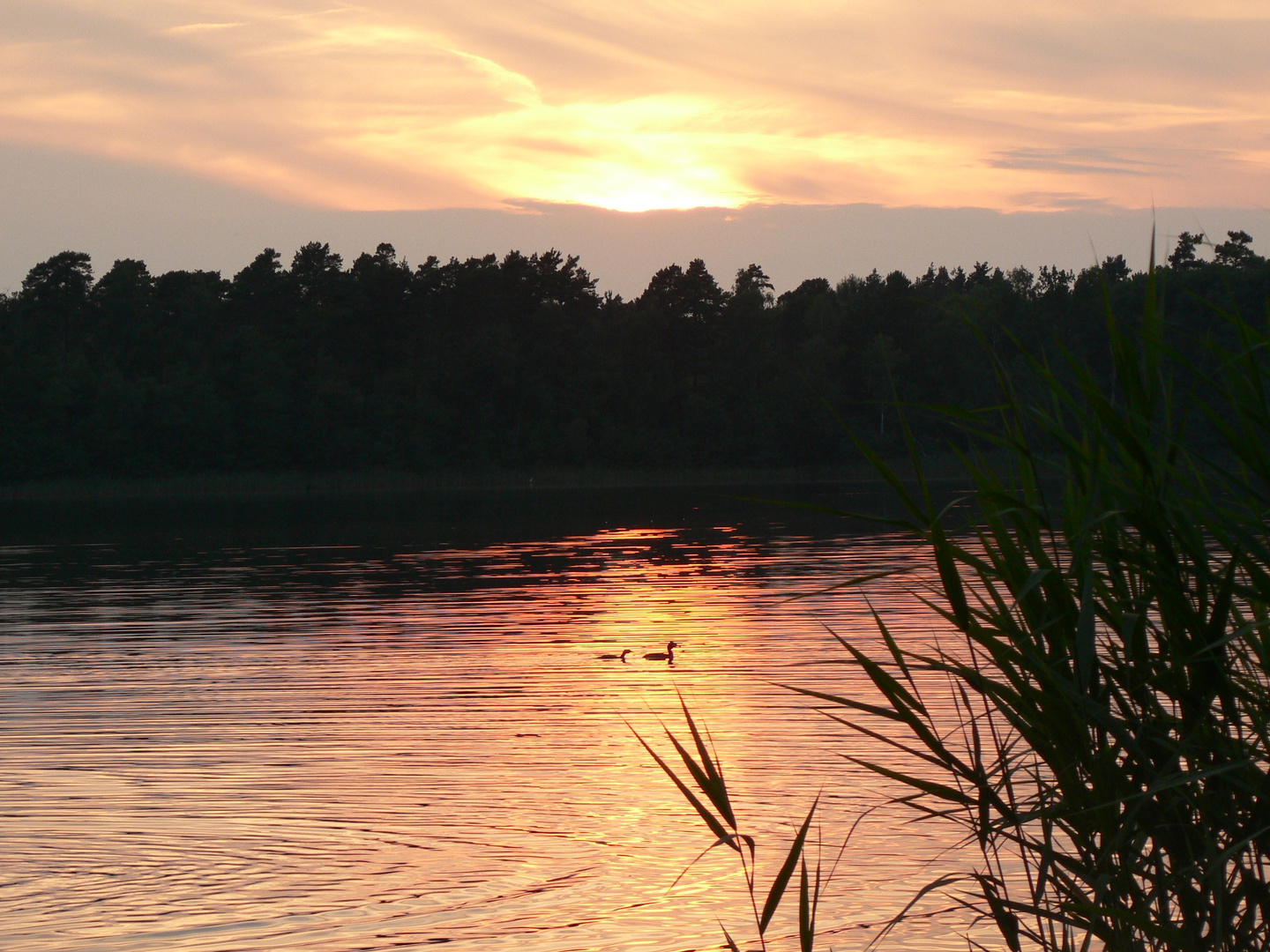 ...einfach des Abends am See