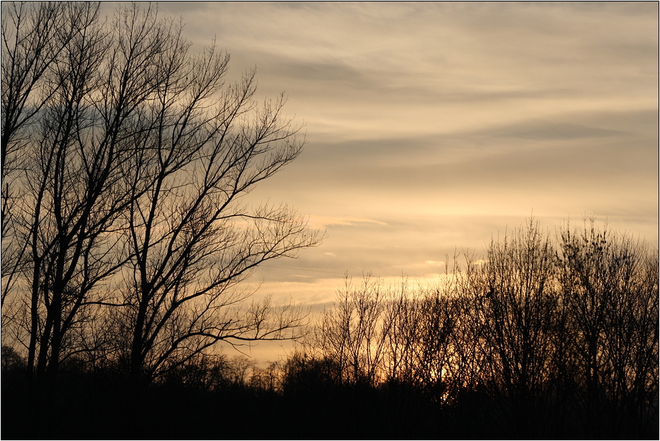 Einfach ein Blick aus dem Fenster....