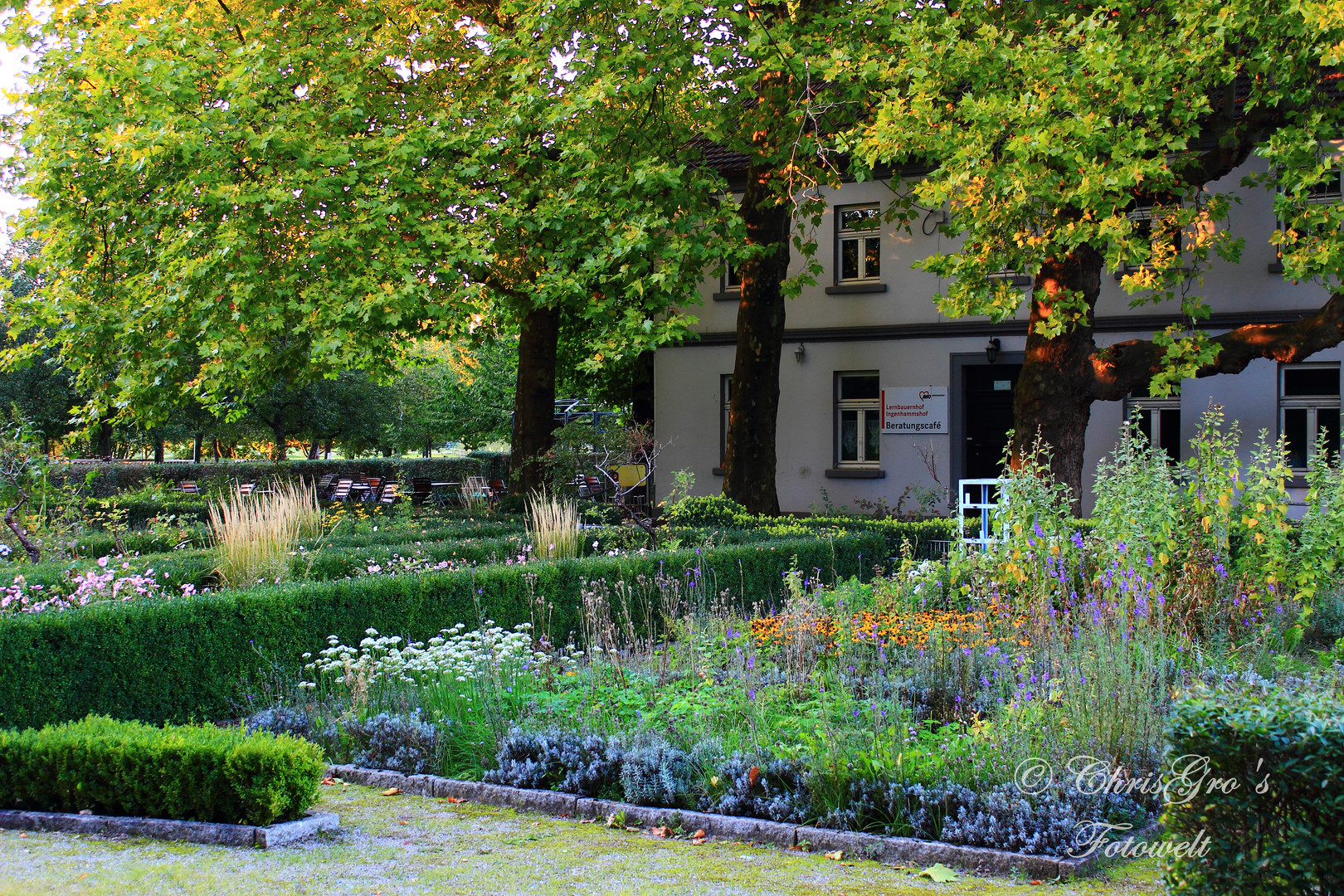 Einfach ein Garten Foto &amp; Bild landschaft, garten