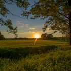 einfach ein Sonnenuntergang im Spätsommer