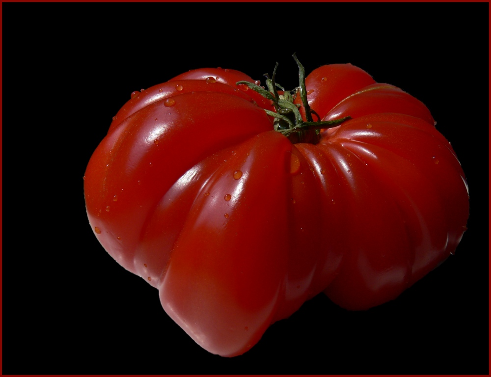 Einfach eine dicke Tomate