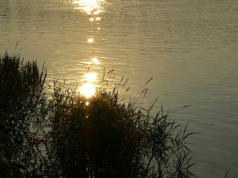 Einfach eine schöne Stimmung an der Elbe