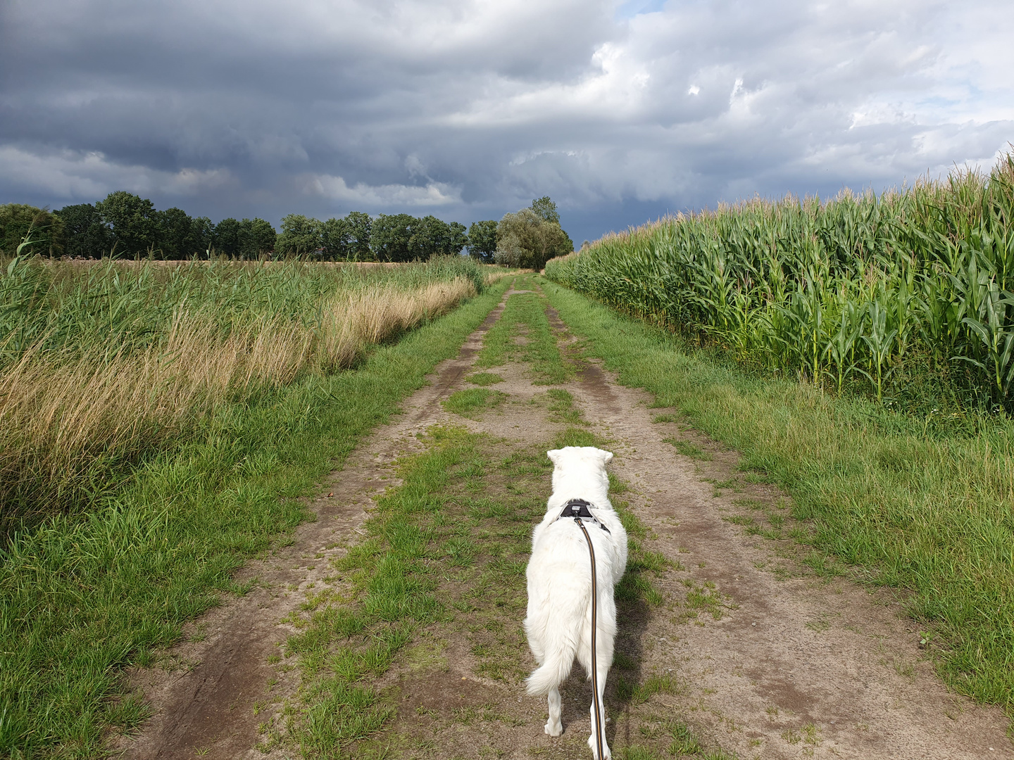 einfach frei sein , wo führt der Weg wohl hin ?