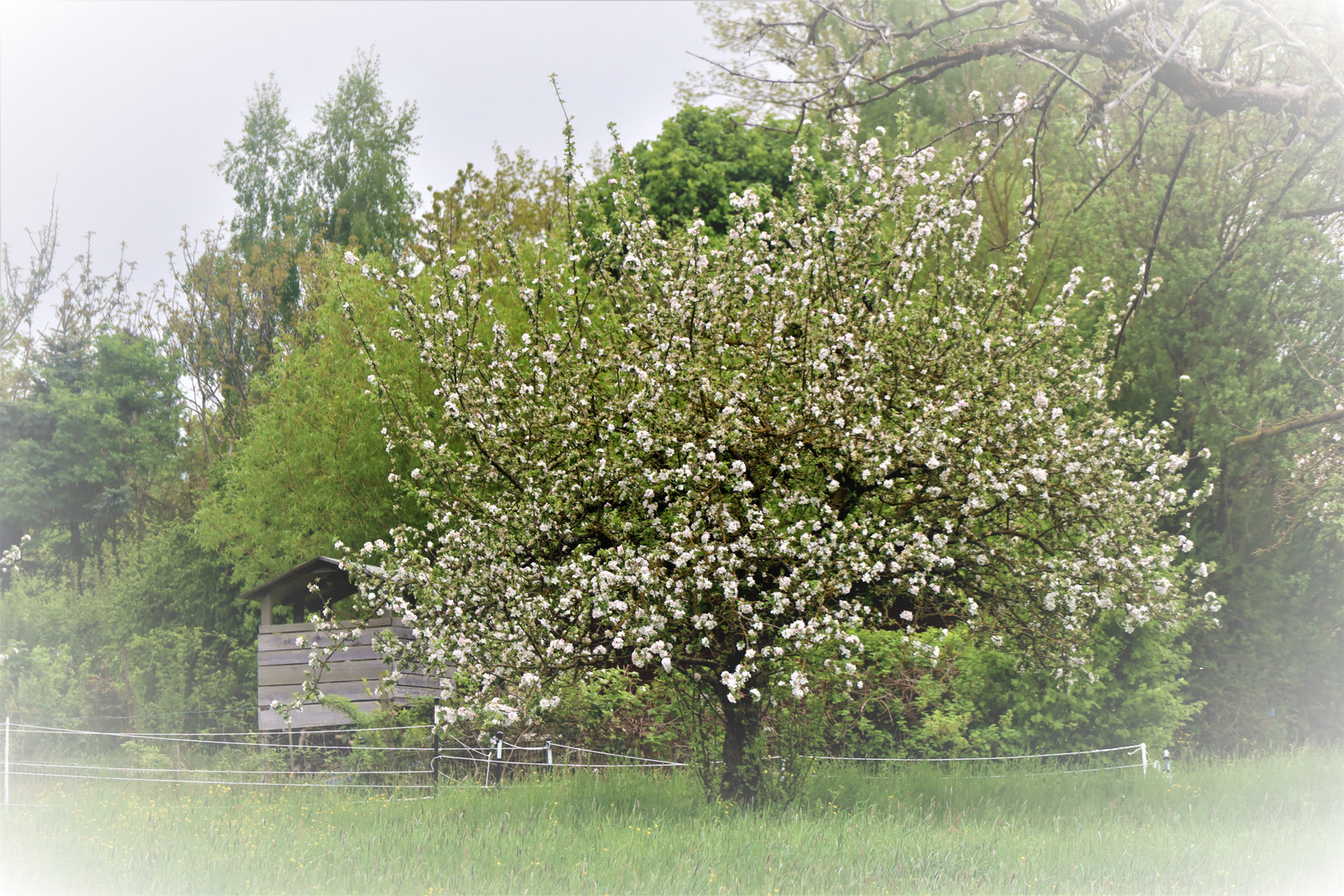 einfach Frühling