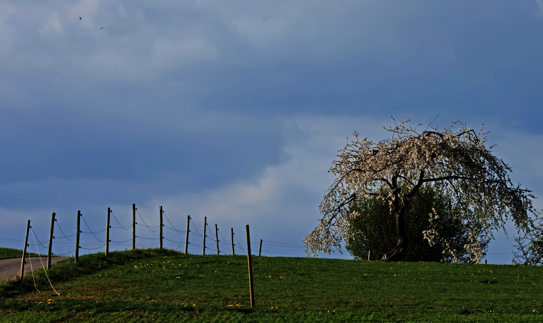 Einfach Frühling