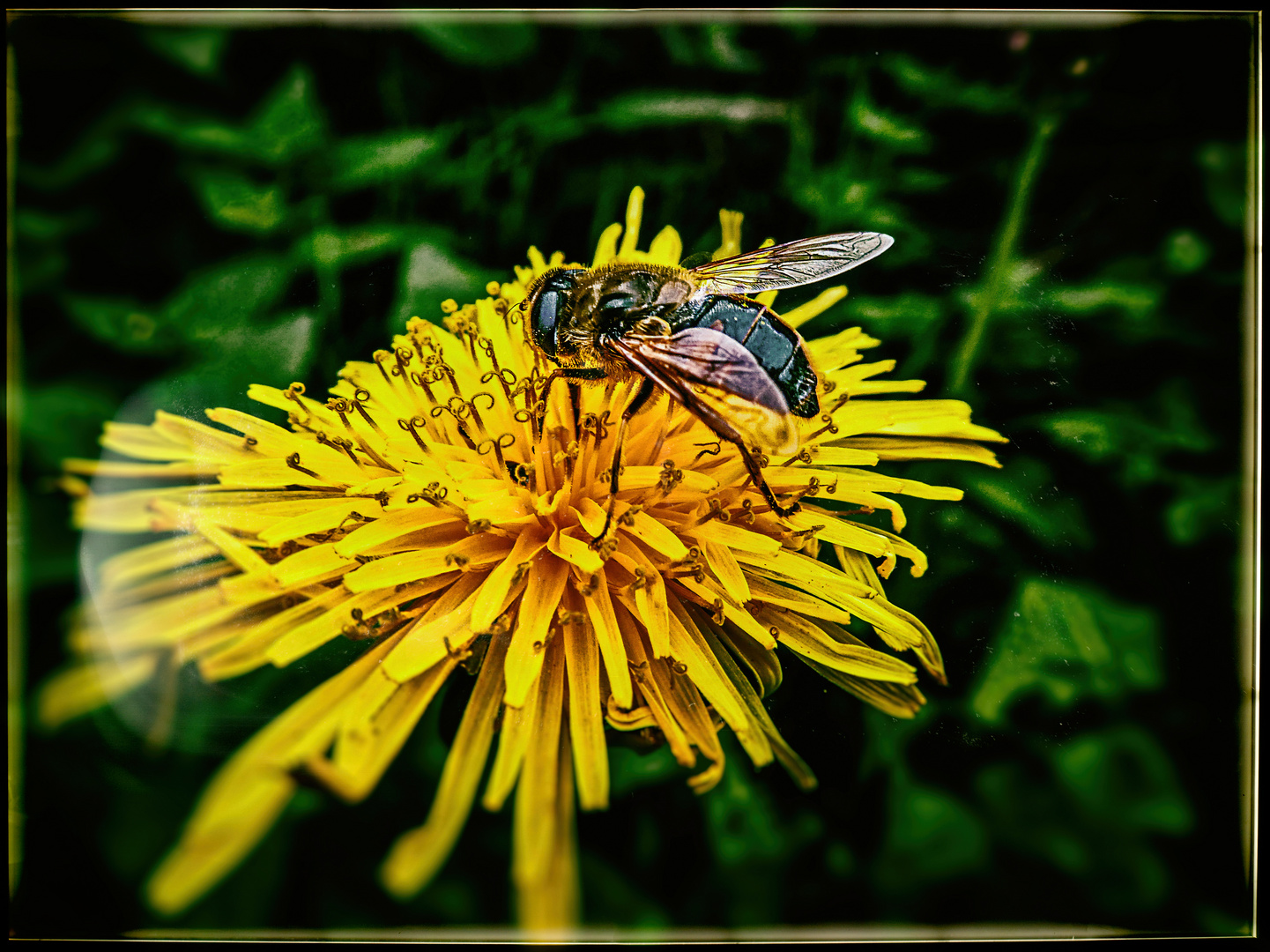 EINFACH FRÜHLING..........