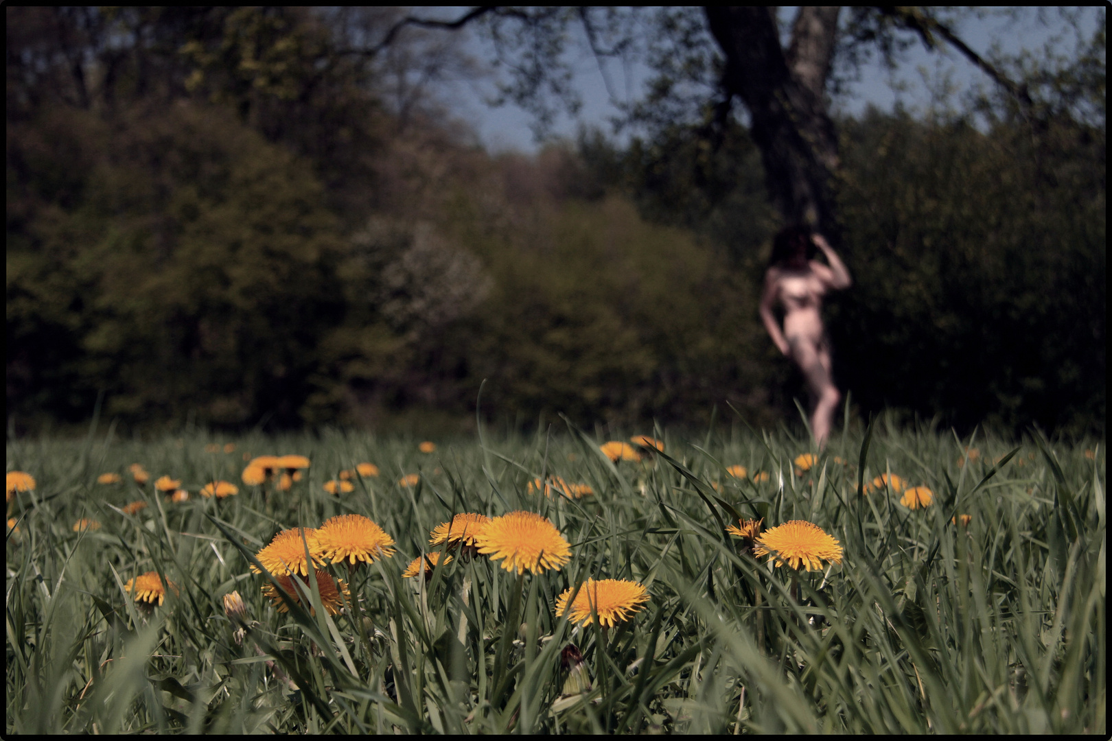 einfach Frühling...