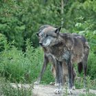 Einfach genial: Ein Rendezvous bei Berni und Co.