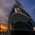 Einfach gewaltig der Parc del Arts in Valencia