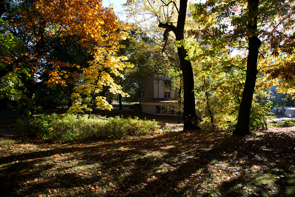 einfach Herbst