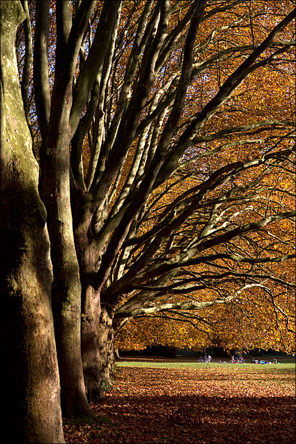 Einfach Herbst