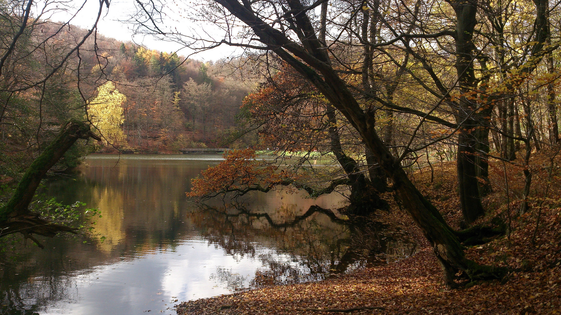 Einfach Herbst